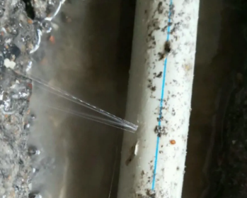 站前卫生间测漏水多少钱
