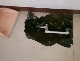 站前卫生间测漏水多少钱