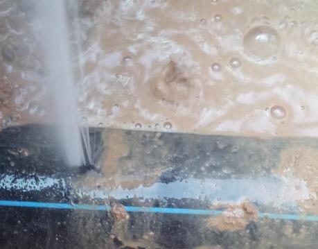 站前卫生间防水哪家好